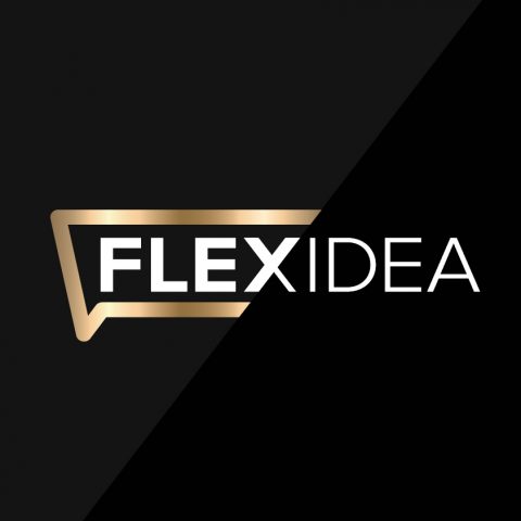 Flexidea grafiskā identitāte